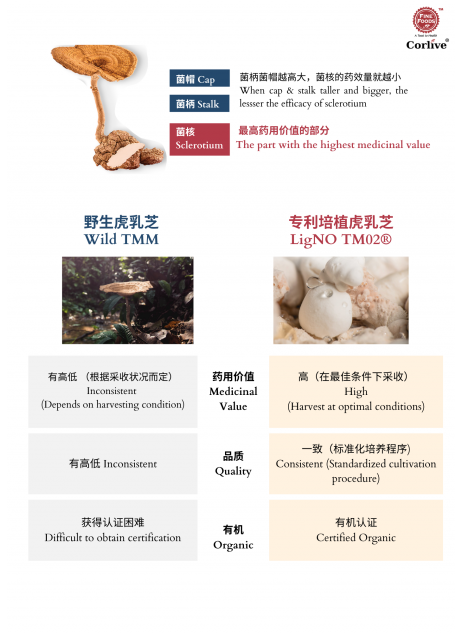 Corlive【Any 2｜Mix & Match (FREE 5x Tygerberry sachets + 2x Colljoin+ sachets)】(商家1-3天發貨)