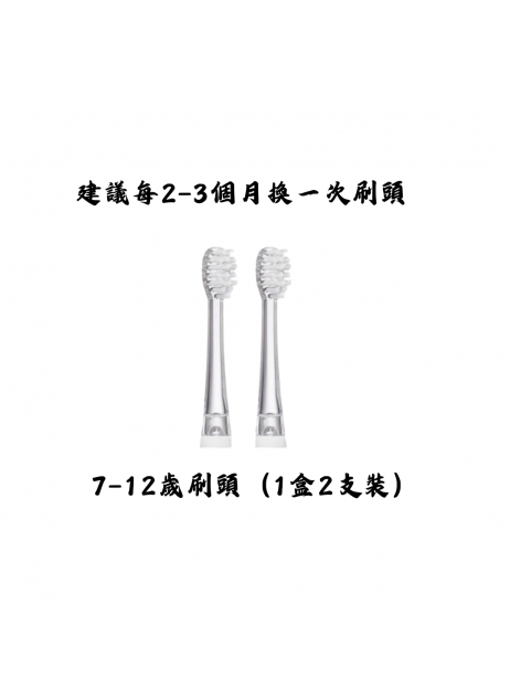 Marudai 7-12歲 軟毛刷頭（1盒共2入）【現貨】