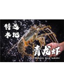 麻辣龍蝦盆菜 (4-5人份) Premium Lobster Mala Treasure Pot (最後發貨日 20/1/2025)